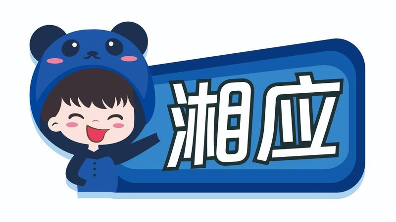 成都弱电系统集成项目经理：角色定位与能力要求**
